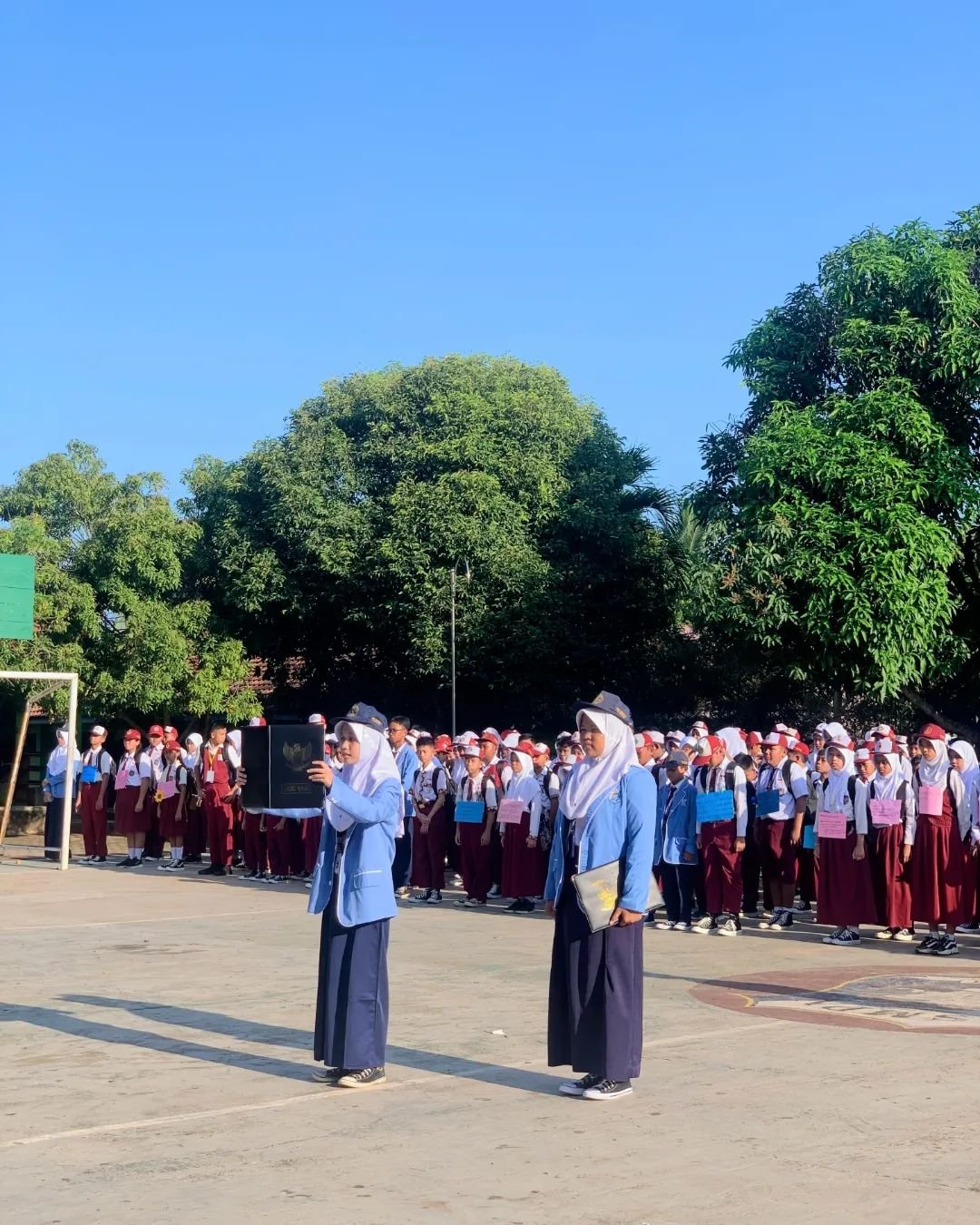 ClipDown.App_451416294_1883924195418565_8505271010176718011_n